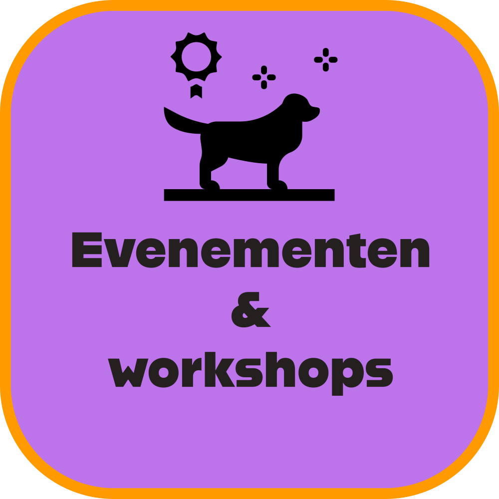 Evenementen & workshops
