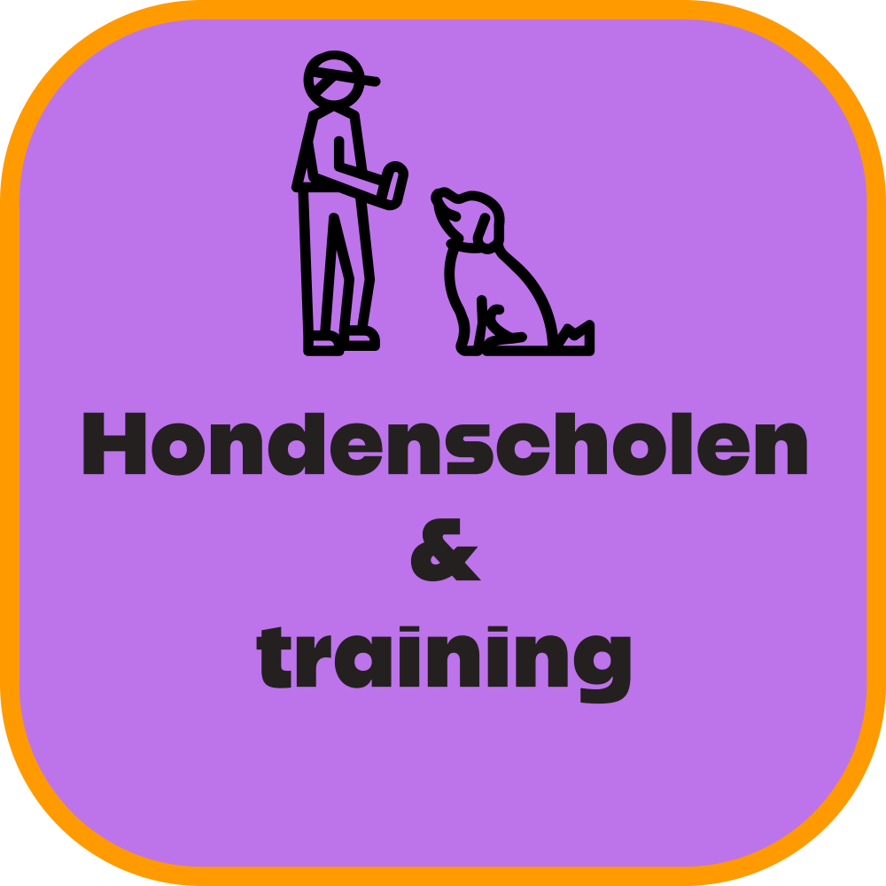 Hondenscholen & training