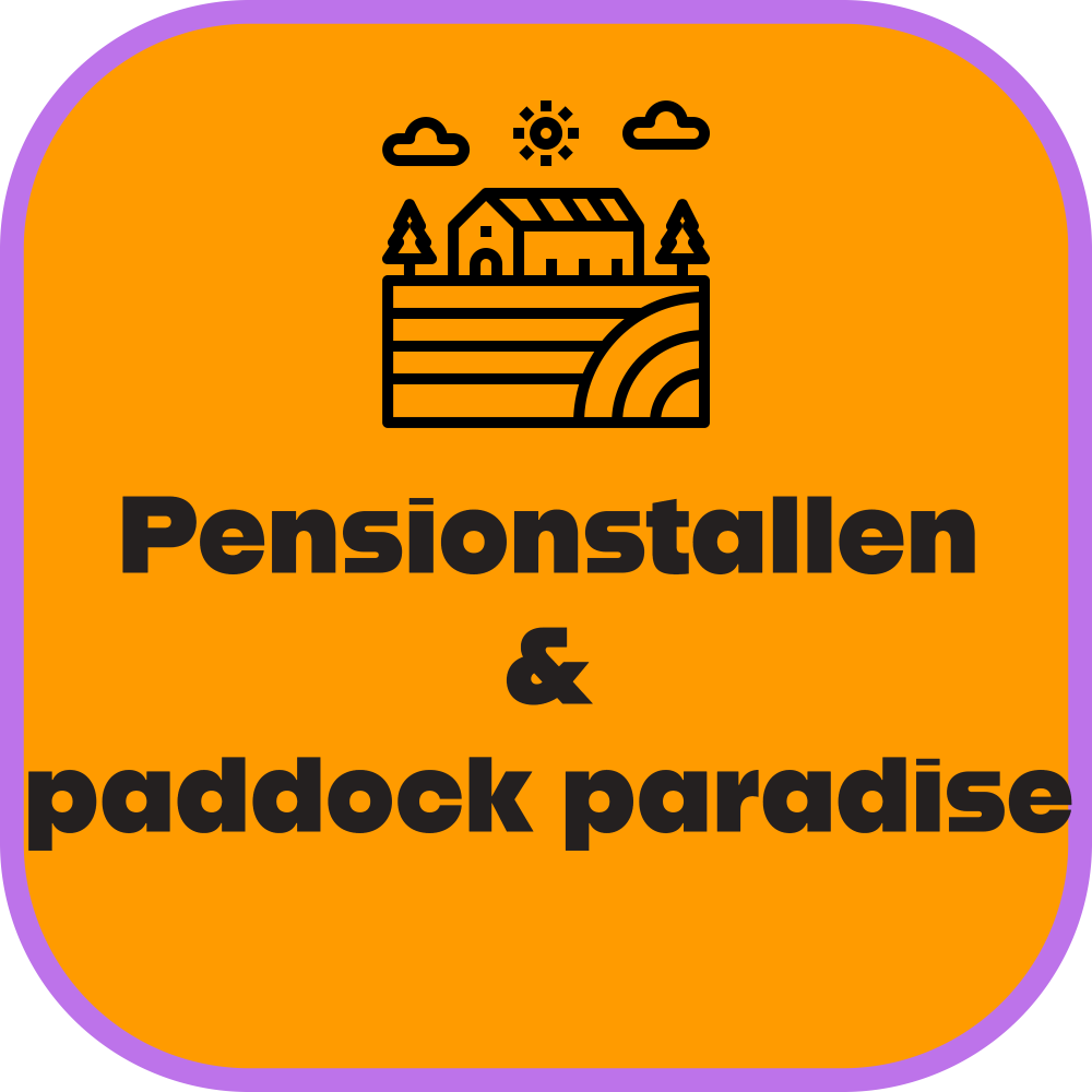 Pensionstallen & paddock paradises