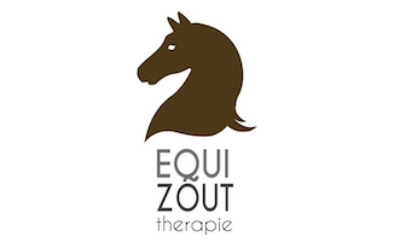 Zouttherapie paard