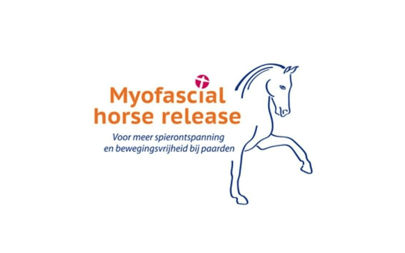 Myofascial horse release