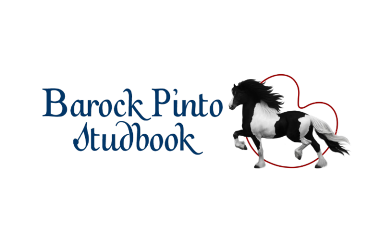 Barock Pinto Studbook