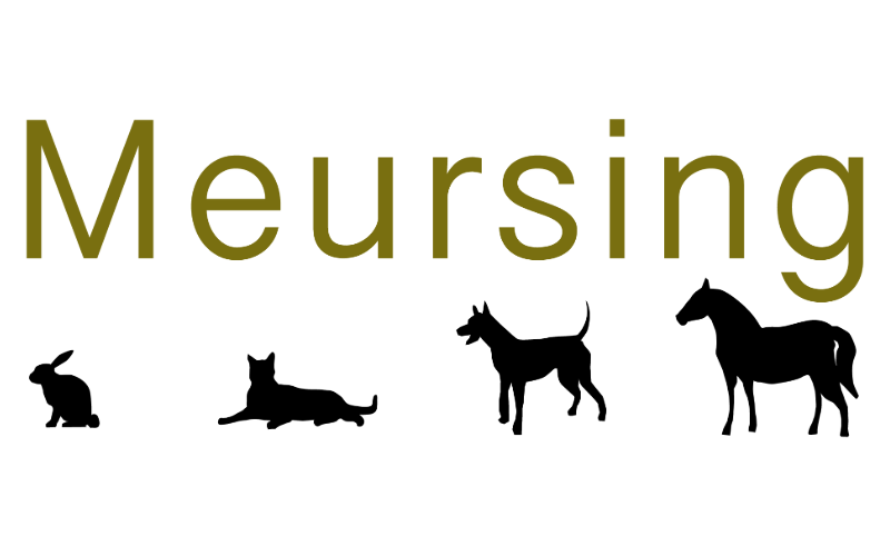 Dierenkliniek Meursing