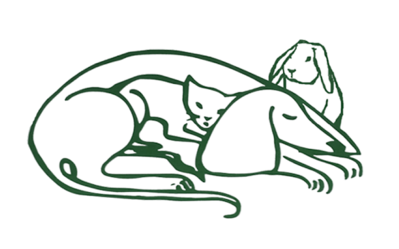 Dierenkliniek Statenlaan