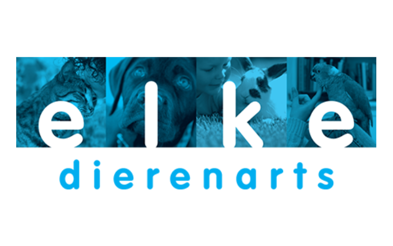 Dierenarts