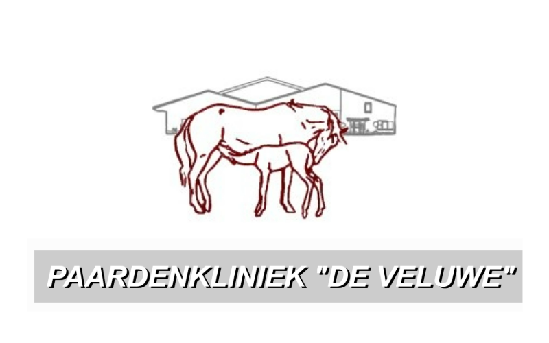 Paardenkliniek De Veluwe