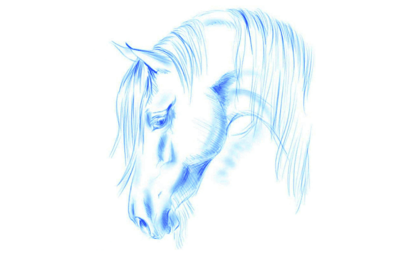 Manege Balans