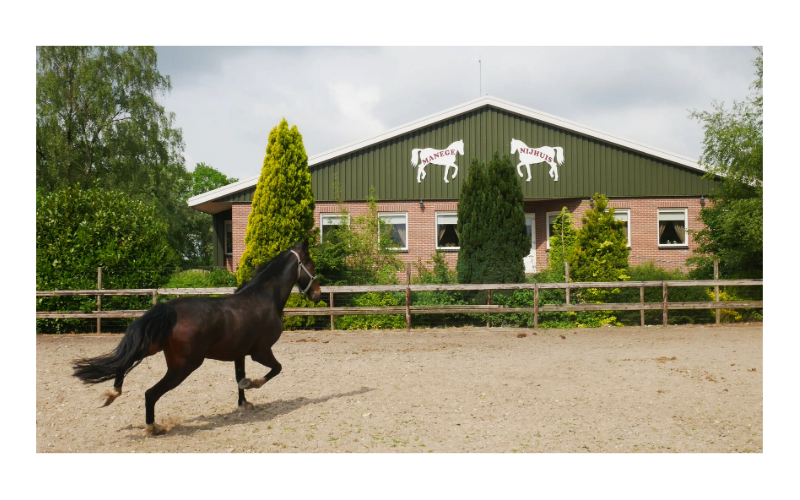 Manege Nijhuis