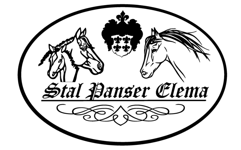 Stal Panser Elema