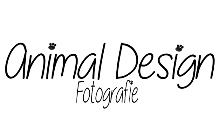 Animal Design Fotografie