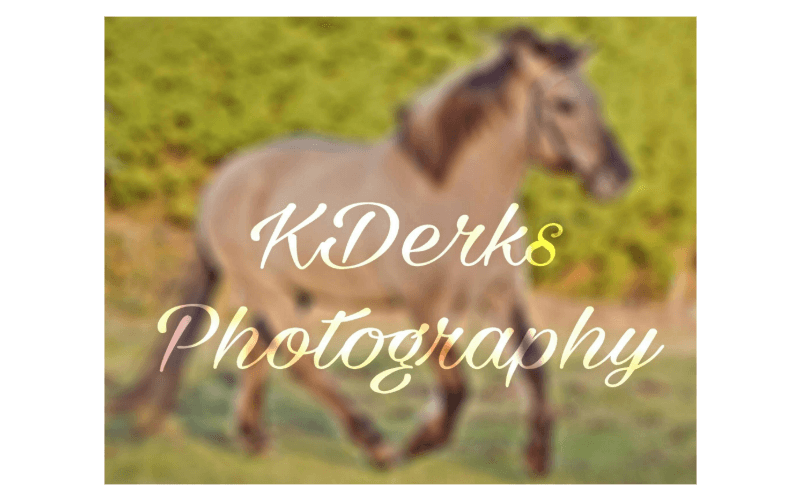 Kimberley Derks Photography