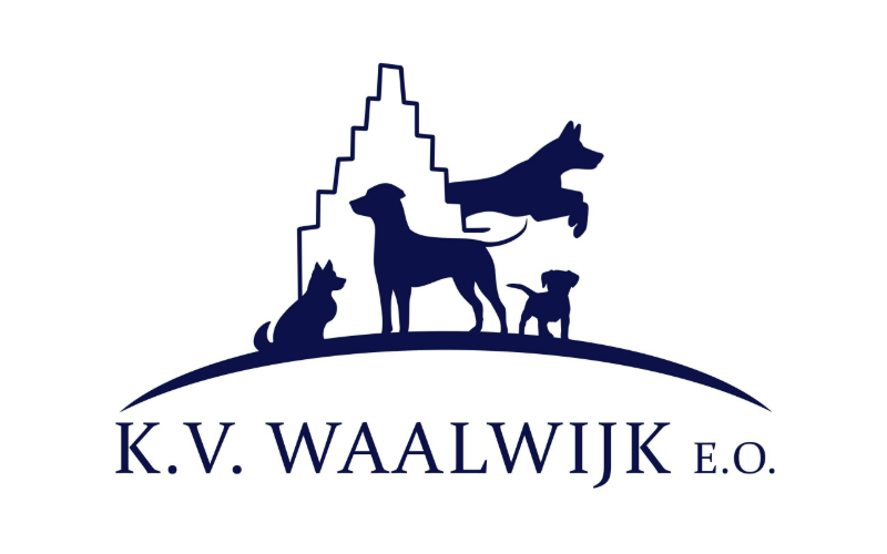 KV Waalwijk