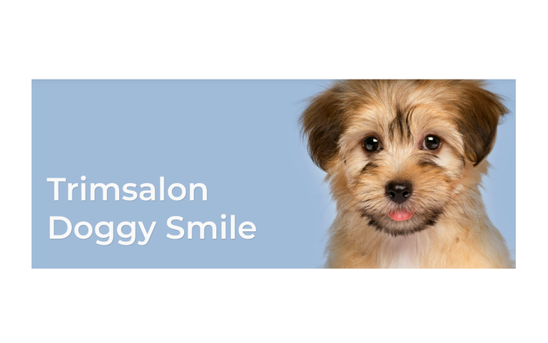Trimsalon Doggy Smile