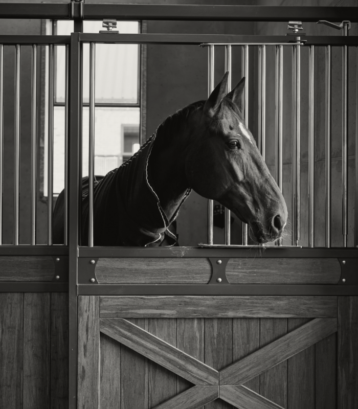 Pensionstal