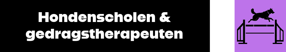 Therapeuten hond
