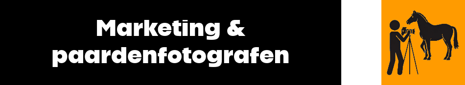 Marketing & paardenfotografen