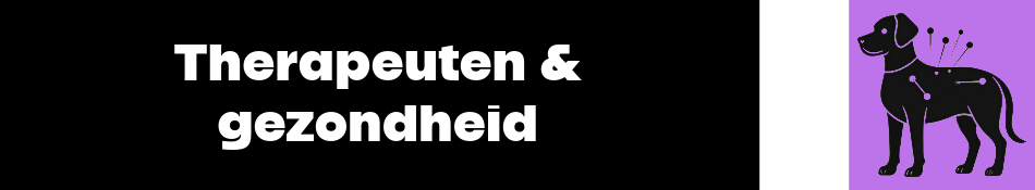 Therapeuten & gezondheid