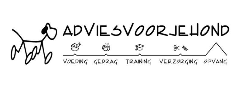 Advies voor je hond
