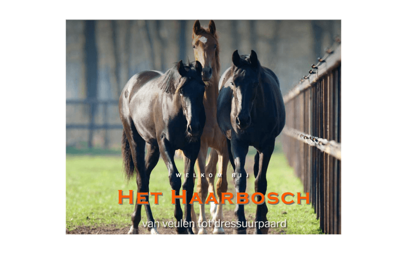 Het Haarbosch