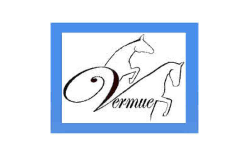 Stal Vermue