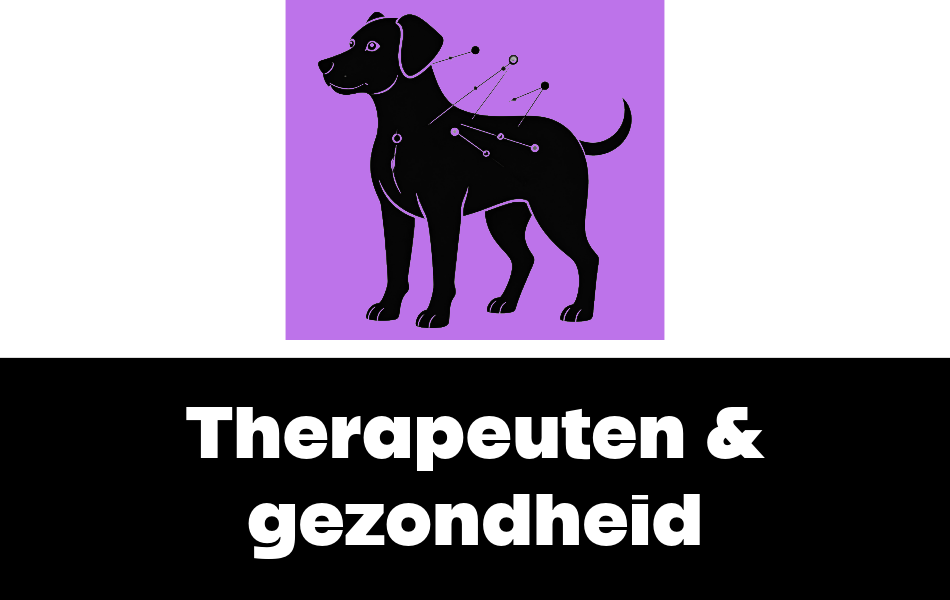 Therapeuten & gezondenheid