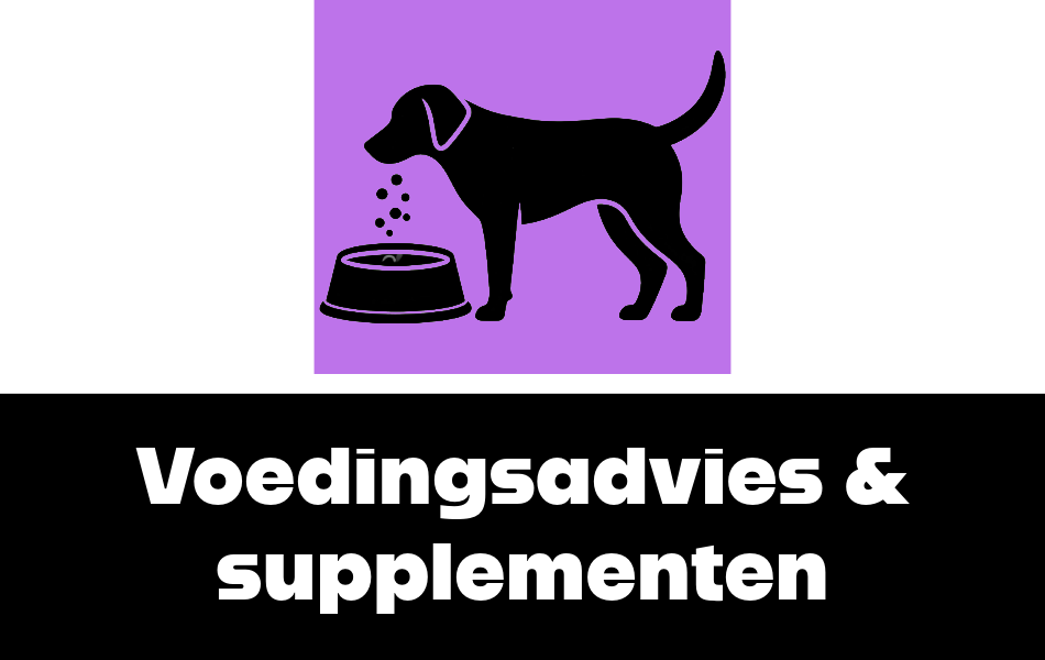 Voedingsadvies & supplemeten