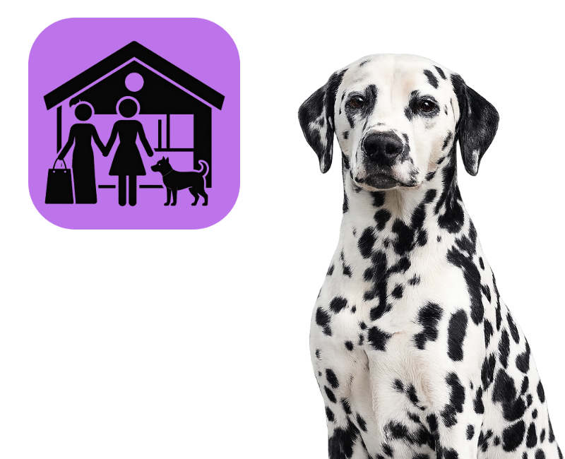 Dierenwinkels