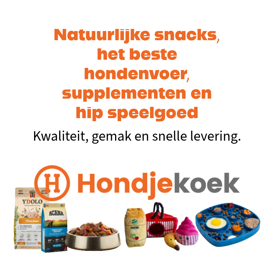 Hondjekoek