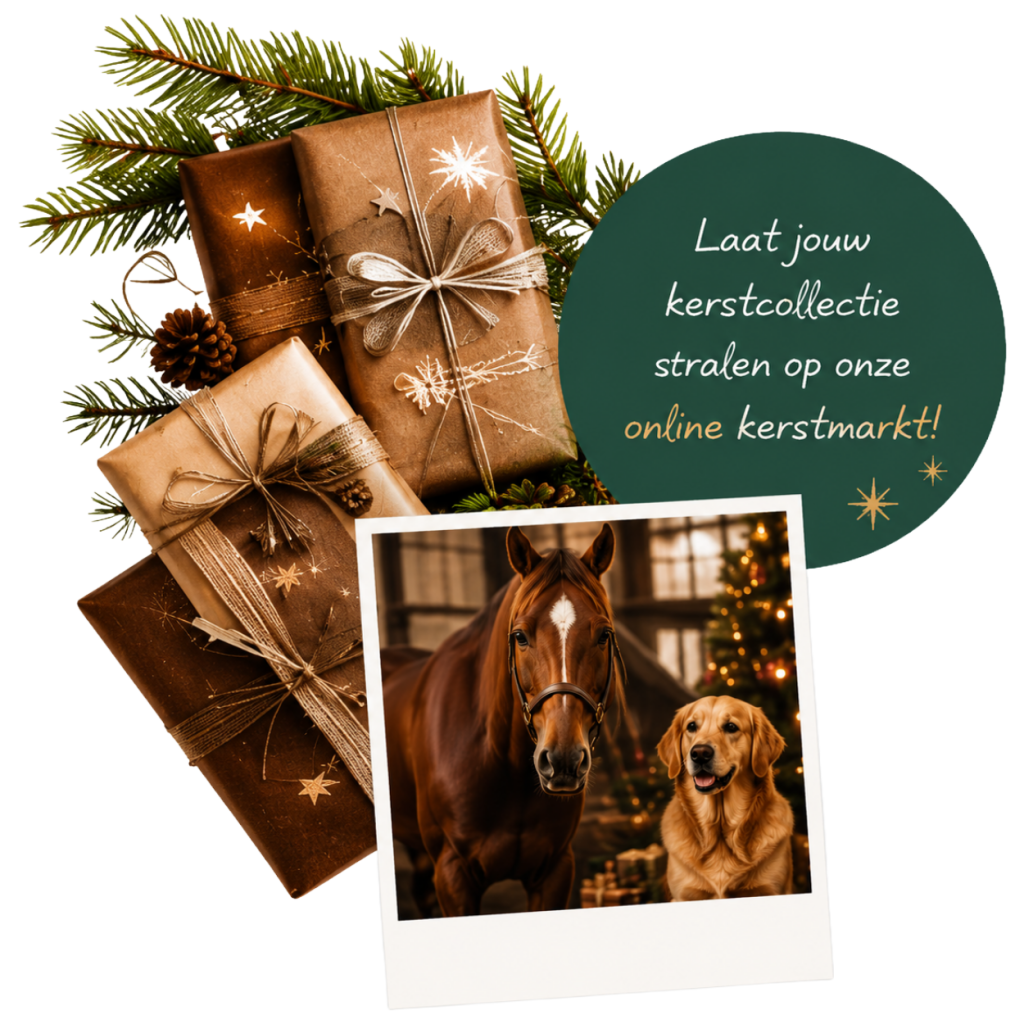 Kerstcadeau hond