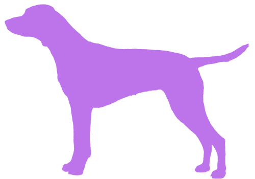 Honden platform