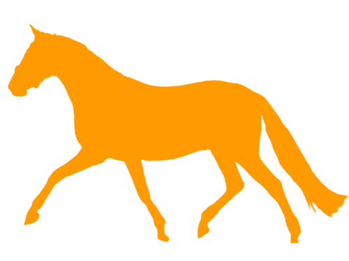 Hippisch platform