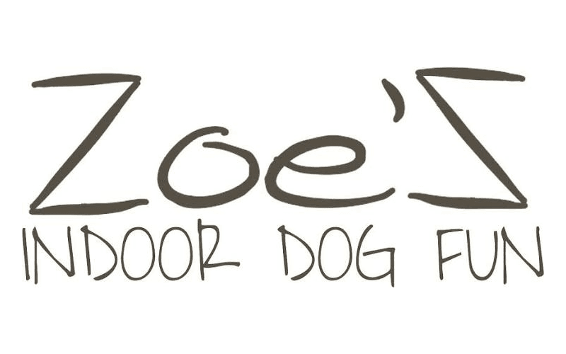 Zoe'Z Indoor Dog Fun