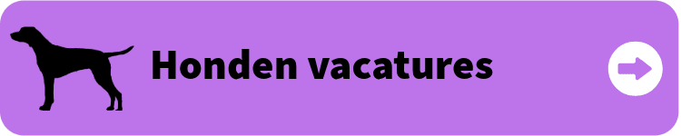 Honden vacatures