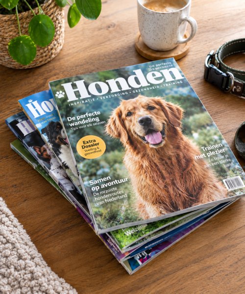 Hondenmagazine