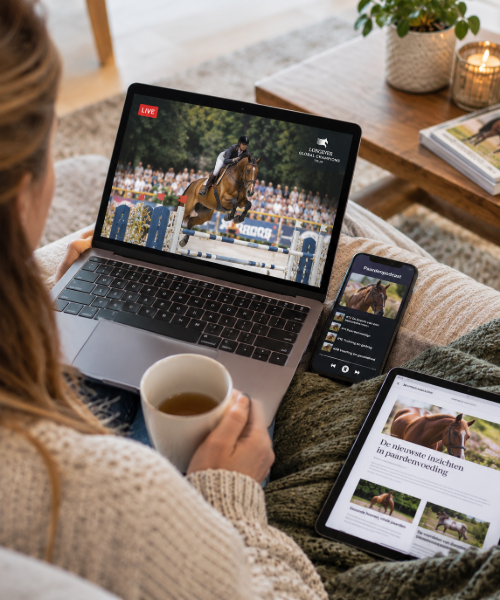 Paardenapp