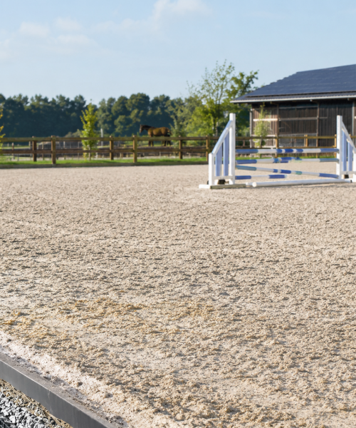 Paardenbak