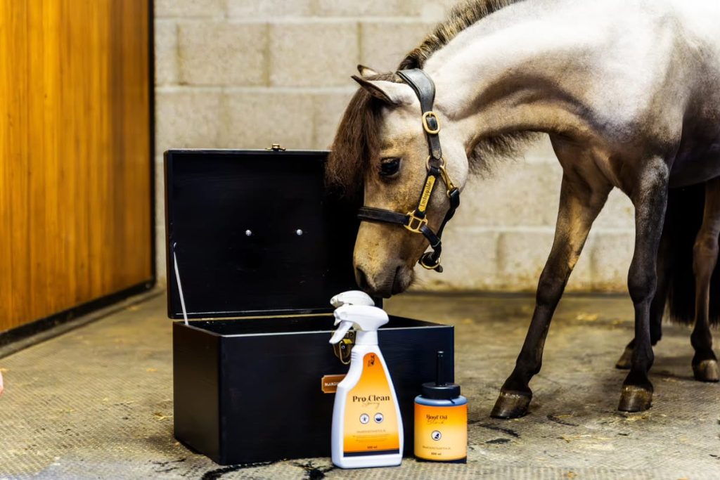 Paardenstaarten