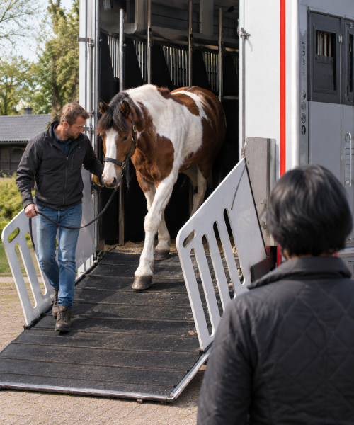 Paardentransport